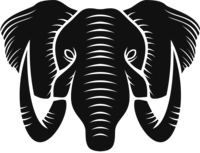 Alfil Digital Agency